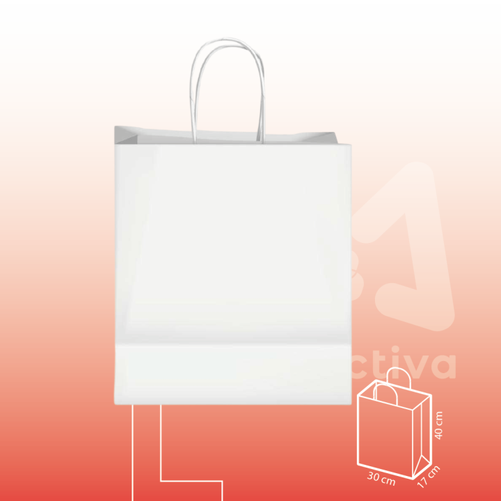 Bolsa de Papel Blanca Con Manija L 30x17x40 cm