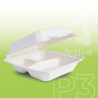 PORTACOMIDAS PULPA P3 20 CM (50X4)