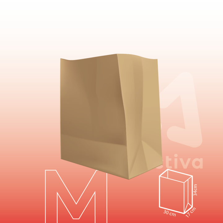 Bolsa de Papel Kraft Sin Manija M