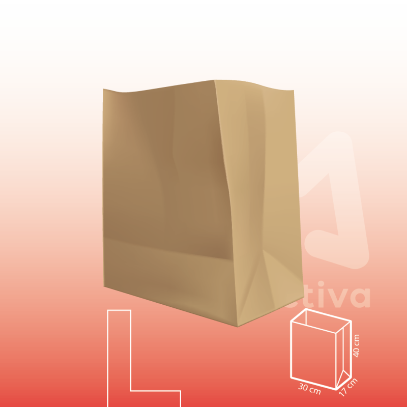 Bolsa de Papel Kraft Sin Manija l