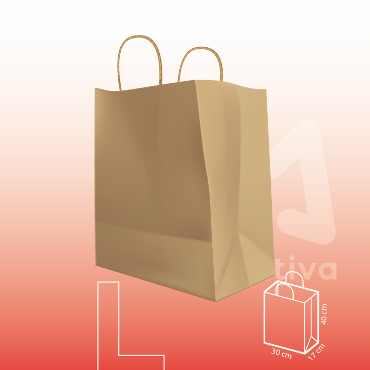 Bolsa de Papel Kraft Con Manija L 30x17x40